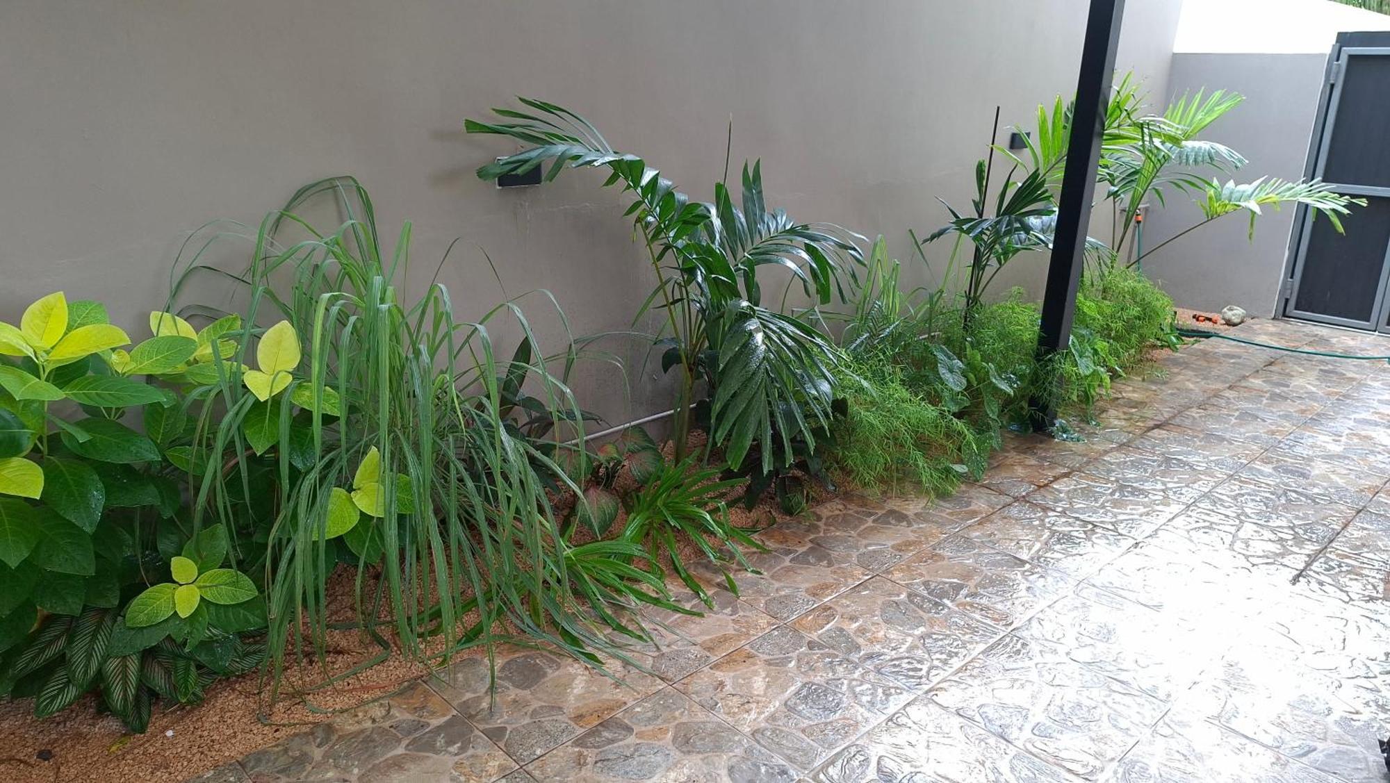 Luxury Retreat At Aqua Breeze Apartment, Flic-en-Flacq מראה חיצוני תמונה
